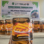 Keren, Pengelola RITD Desa Tuada Buat Stik Udang Vannamei Enak