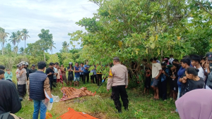Lansia Hilang Dua Pekan di Halmahera Selatan Ditemukan Meninggal Dunia