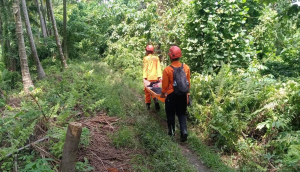 Erupsi Gunung Dukono, Puluhan Pendaki Terjebak, 2 WNA Dilaporkan Meninggal