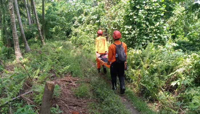 Erupsi Gunung Dukono, Puluhan Pendaki Terjebak, 2 WNA Dilaporkan Meninggal