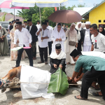 Bupati Fifian Mus Hadiri Pemotongan Hewan Kurban Sumbangan Pemerintah