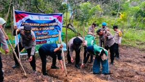 Polres Pulau Taliabu Gelar Penanaman Jagung Serentak Dukung Swasembada Pangan